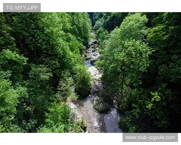 PG电子官方直营站积极响应行业规范推动绿色健康娱乐环境建设 PG电子官方直营站积极响应行业规范推动绿色健康娱乐环境建设